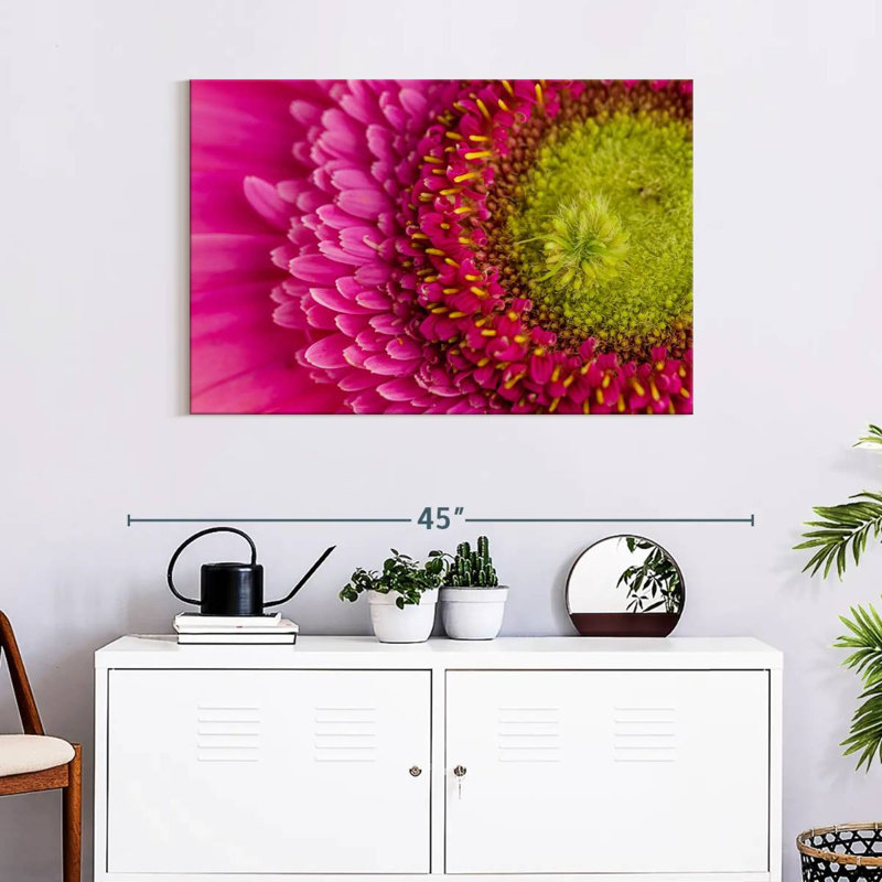 Harberk magnifié Gerbera Daisy, H 24 po x l 36 po