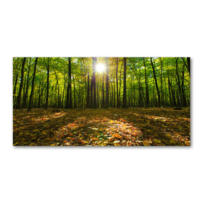 Forest - Wrapped Canvas Print