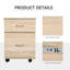 41cm Wide 2 -Drawer File Cabinet-388468505
