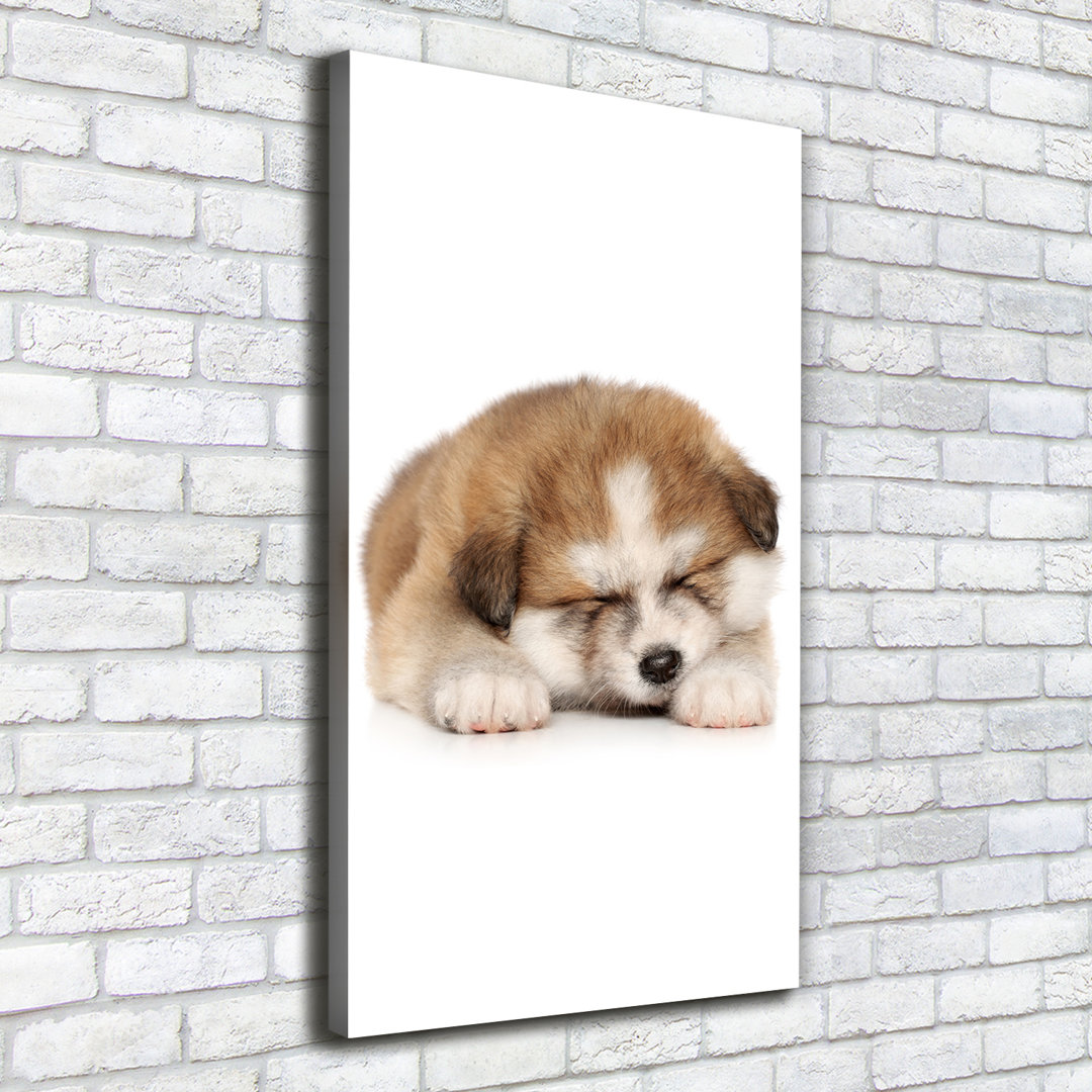 Akita Welpe - Kunstdrucke auf Leinwand - Wrapped Canvas