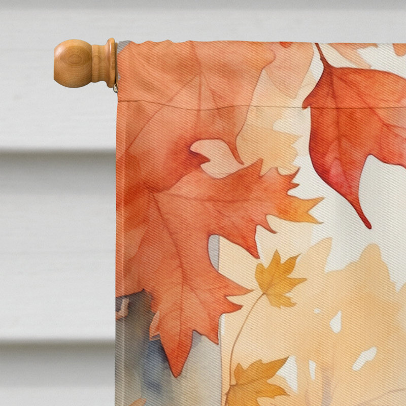 Chat en feuilles d'automne, Ural Rex