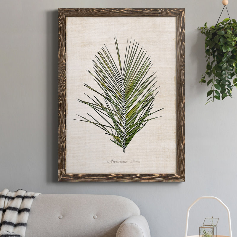 " Palm Botanical I " Painting Print, 24" H x 18" W x 1.5" D, Walnut