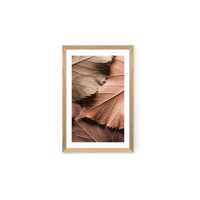 Peinture décorative