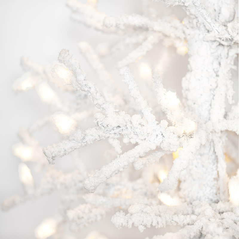Kuna Lighted Artificial Pine Christmas Tree, 9' H x 37" W