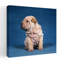 1990S Chinese Shar Pei Puppy Dog Sitting Classic Retro Vintage Dog Wall Art-1064007205