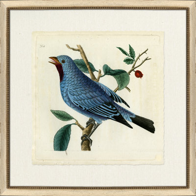 Oiseau bleu - peinture encadrée sur papier