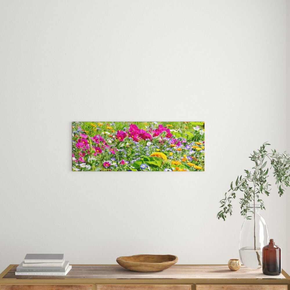 Glasbild Wildflower Meadow II, Kunstdruck