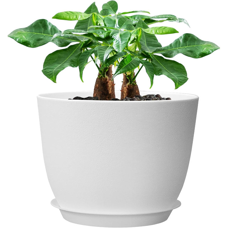 Pot en plastique blanc 12 "avec drainage et soucoupe
