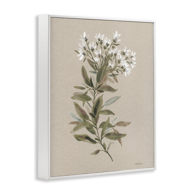 Aquarelle, fleur sauvage, brin, giclée sur toile par Carol Robinson, Giclée encadrée blanc bord de mer, H 30 po x l 24 po