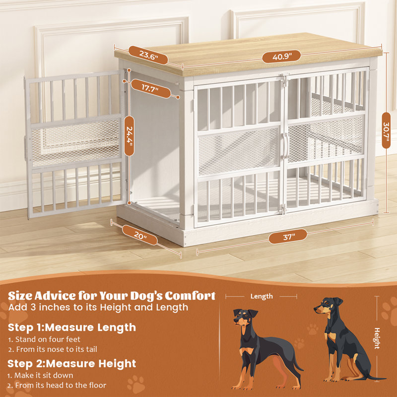 Grande cage robuste pour chien avec 2 portes doubles, Blanc, H 30,7 po x l 40,9 po x P 23 po