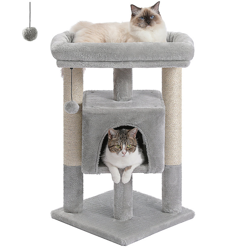 Arbre à chat, Gris clair
