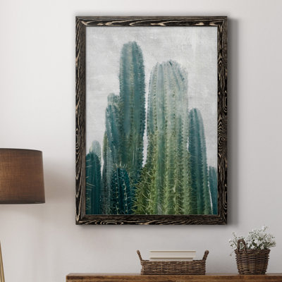 " Aruba Cacti II "