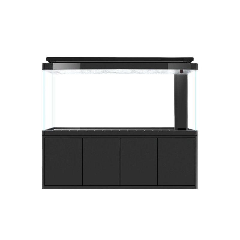 Réservoir d'aquarium rectangulaire simple et moderne Eco, 235 gallons (H 61 po x l 78,7 po x P 23,6 po)
