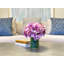 Fuchsia Hydrangea in Water Vase