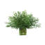 19 " H Faux Fern Plant in Glass Vase
