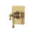 Antique Gold