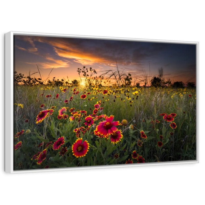 Aube au champ de fleurs, Cadre flottant blanc, 19 po x 13 po