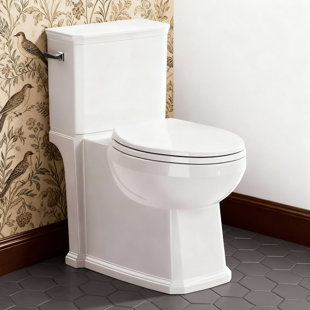 Cuvette de toilette monobloc
