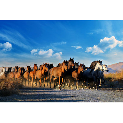 Galloping Horses by Davut Akbulut - Wrapped Canvas Print