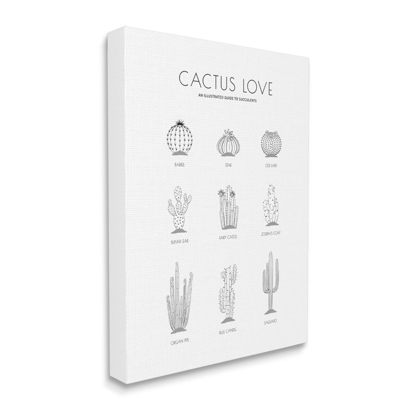 " Illustrated Guide To Succulents Minimal Modern Cactus Plant ", Wrapped Canvas, 30" H x 24" W