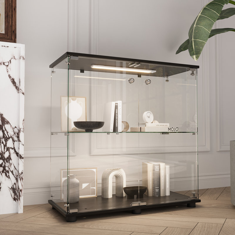 Vitrine en verre, vitrine, bibliothèque avec 3 lumières DEL, porte double à 2 tablettes, noir