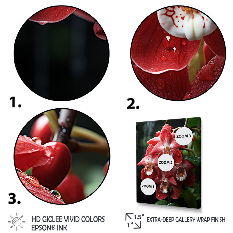 Orchidées tranquilles roses et blanches II - Orchidées murales, Cadre flottant noir, H 20 po x l 12 po x P 1 po