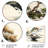 Ankeny Plants & Flowers Wall Decor-628339899