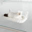 Cats Hammock Bed