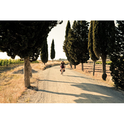 Young Woman Riding a Bike by Zodebala