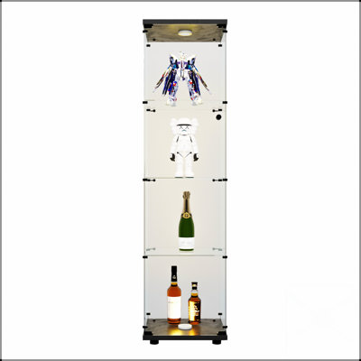 Élégante vitrine lumineuse en verre à DEL avec 4 tablettes et porte, bibliothèque de plancher sur pied pour les intérieurs modernes