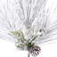 24 plantes