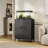 Latedra 31.5'' Wide Storage Cabinet-2063152262