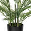 Palmier vert Areca de 60 po Primrue.