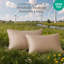 Ensemble de taie d'oreiller en coton Supima-133031539-133031536