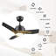 3 - Blade LED Smart Ceiling Fan with Light-403107346-461021576