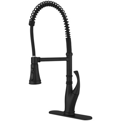 VIBRANTBATH Pull Down Kitchen Faucet