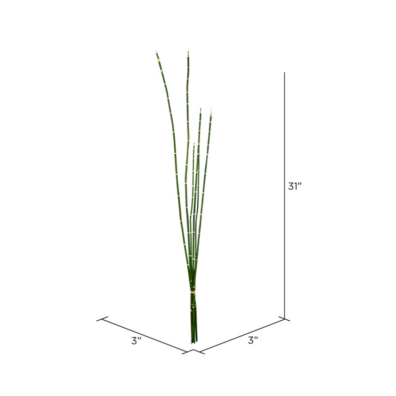 31'' Faux Horsetail Branch