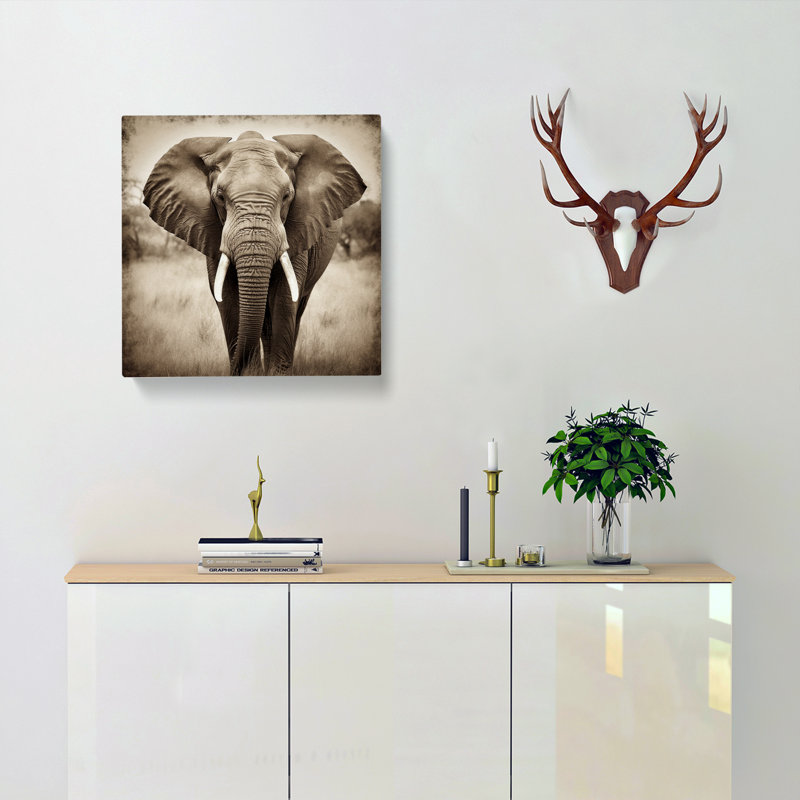 Elephant Photograph - No Frame Print