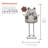 24"H Frog with Flower Garden Statue