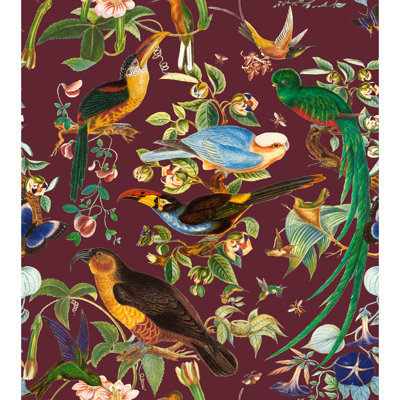 Nuevo Mundo Oaxaca 100% Cotton Performance Fabric