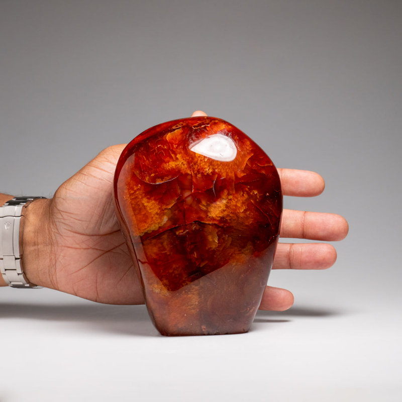 Genuine Polished Carnelian Freeform From Madagascar (3.25 Lbs)