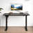 Electric Standing Desk, Adjustable Height Stand Up Desk, Ergonomic Rising Computer Table With Memory Preset, Sit Stand Up Desktop For Home Office