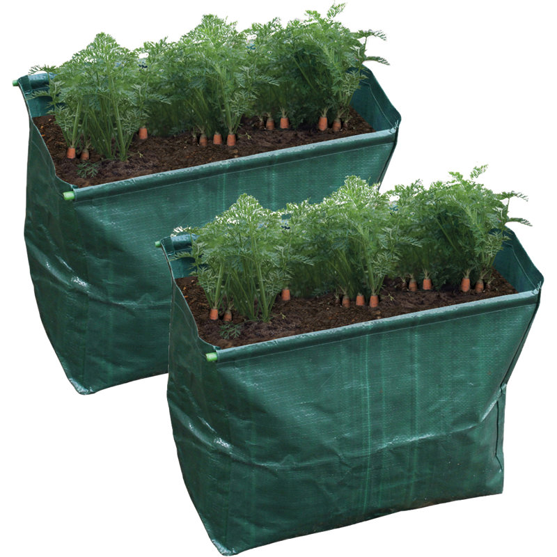 St. Helens Home & Garden Growing Kit
