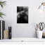 Lilie No 100, rue King-108443289