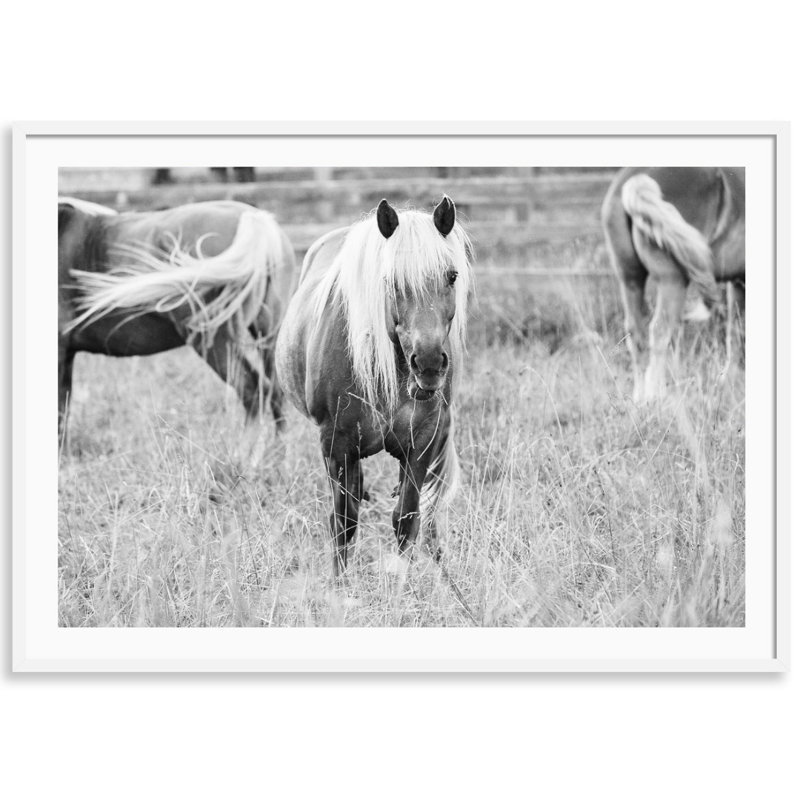 Blonde Bombshell Print by Carly Tabak, 25" W x 18" H, White Wood