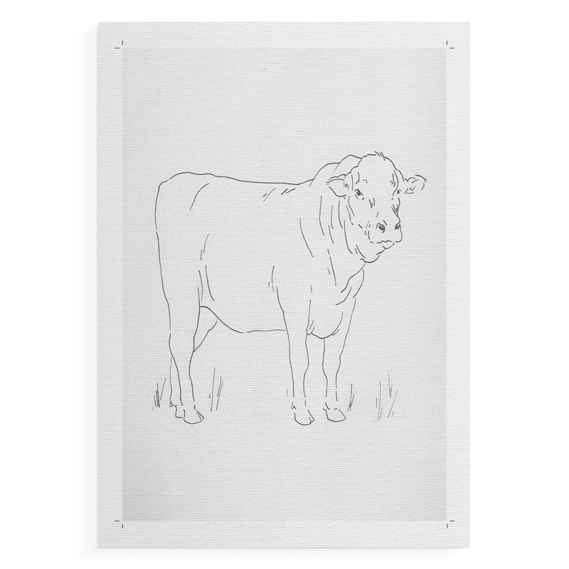 «Limousin bovins I», impression sur toile seulement - non encadrée