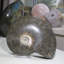 Aloisa Landscape & Nature Crystal