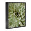 «Painted Botanical Succulent Bloom», impression-1508907786-1495291648