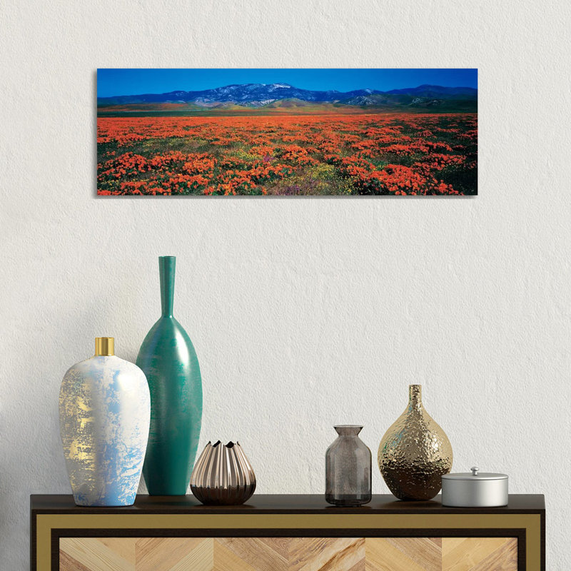 Antelope Valley California Poppy Reserve, Los Angeles County, California, USA - Wrapped Canvas Panoramic Print