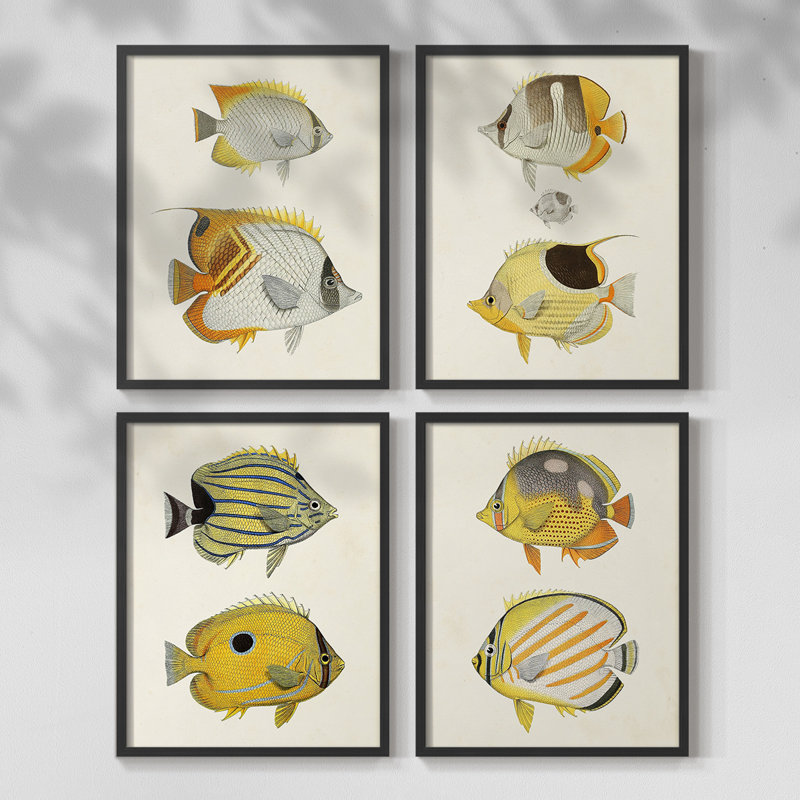 Fish I Framed Print - Set of 4, 28" H x 22" W, Walnut